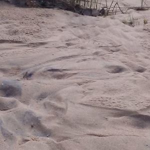 Meet your Posher, Jade